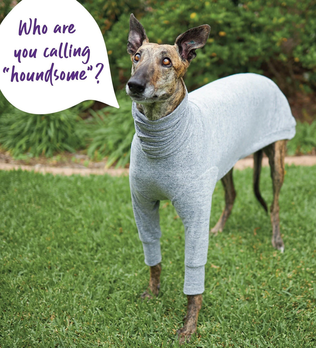 Kazoo Dog Rug Greyhound Softie Grey [:59cm-65cm]