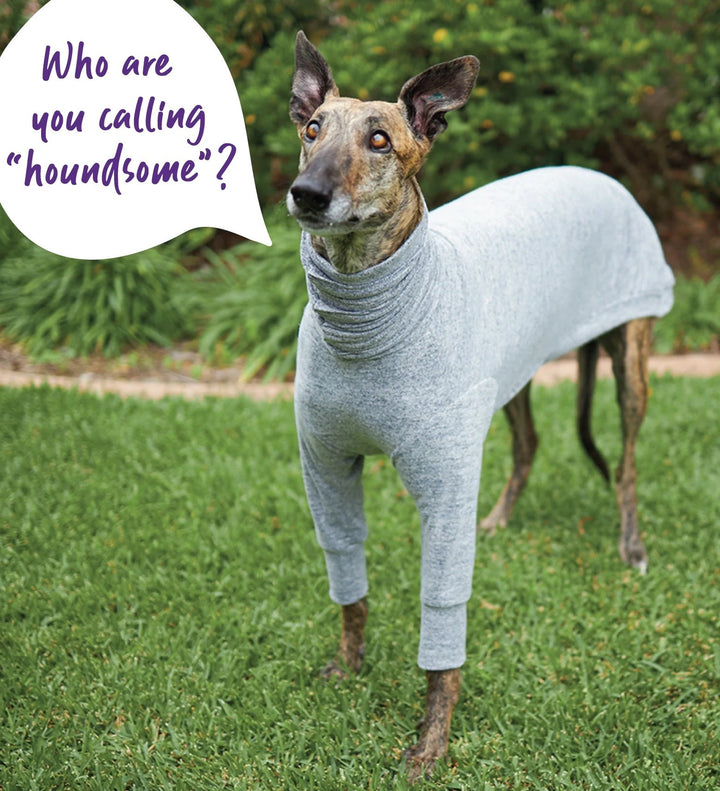 Kazoo Dog Rug Greyhound Softie Grey [:59cm-65cm]