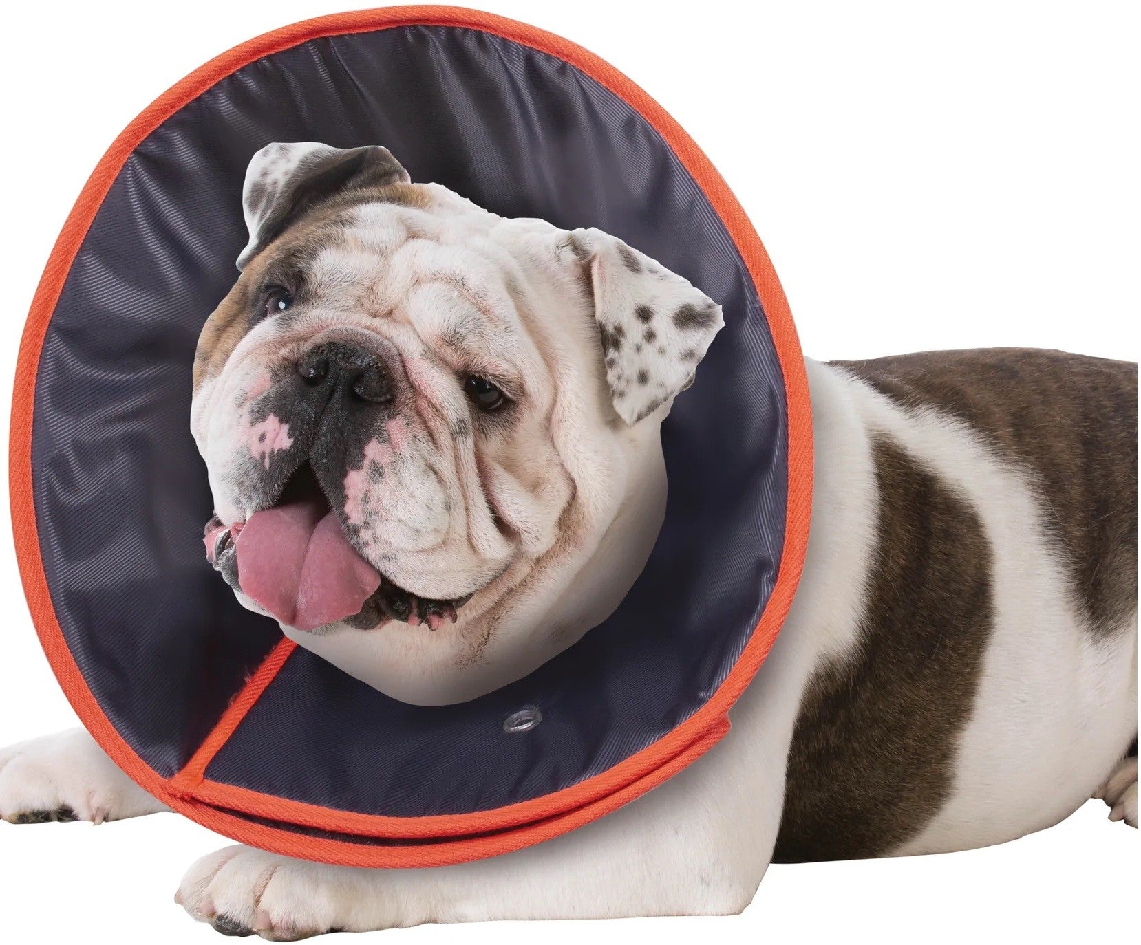 Vet Collar Comfy [:extra Small]