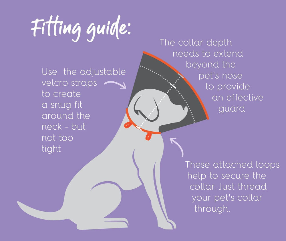 Vet Collar Comfy [:extra Small]