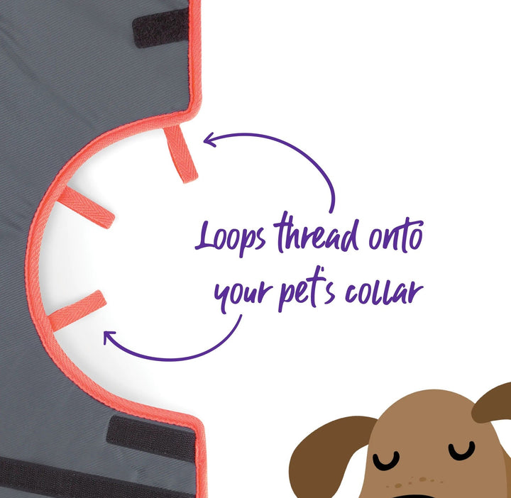 Vet Collar Comfy [:extra Small]