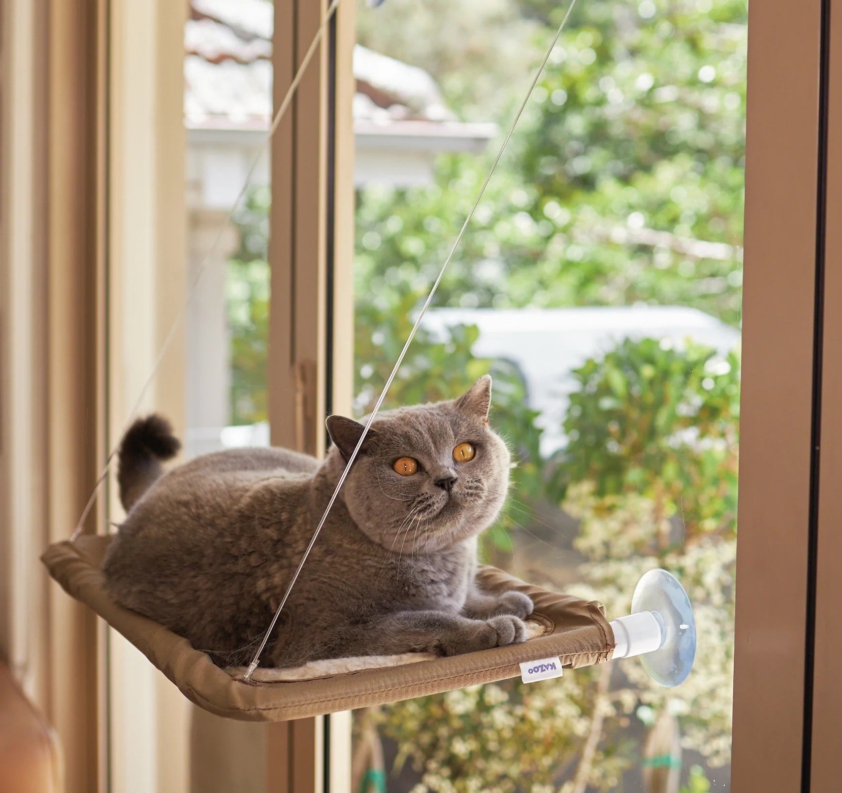 Cat Lookout Window Bed Deluxe