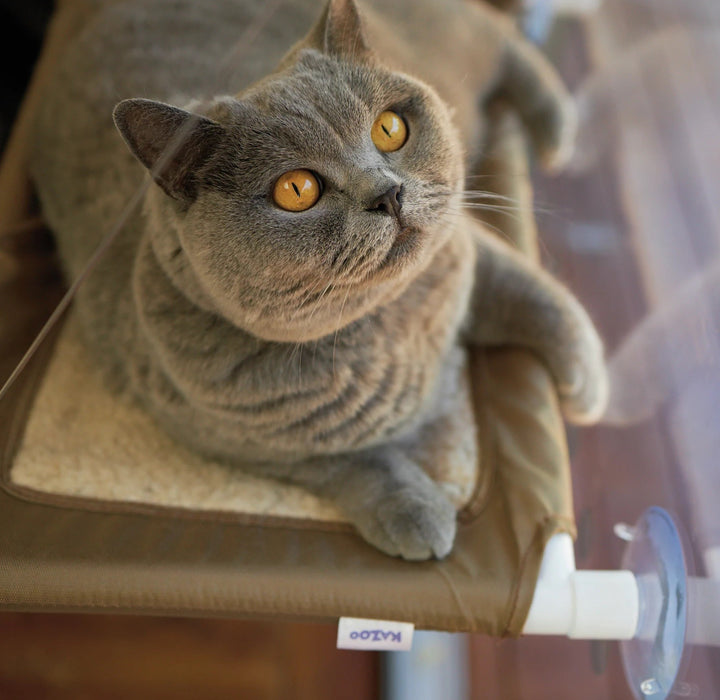 Cat Lookout Window Bed Deluxe
