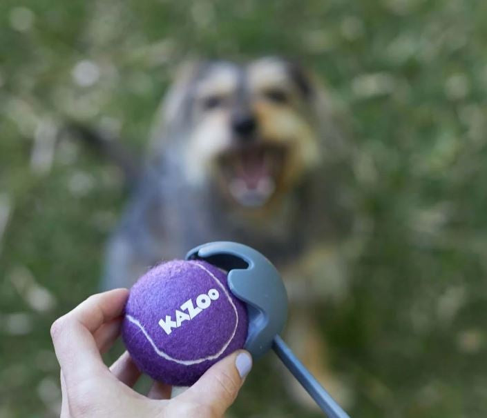 Kazoo Dog Toy Eco Friendly Ball Thrower Medium