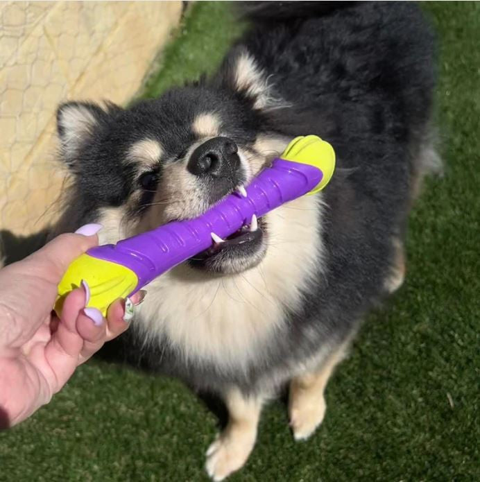 Kazoo Dog Toy Extreme Play Chew Stick Medium