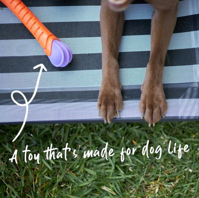 Kazoo Dog Toy Extreme Play Chew Stick Large