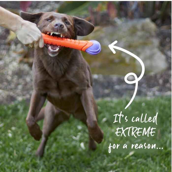 Kazoo Dog Toy Extreme Play Chew Stick Large