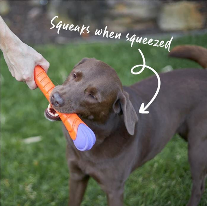 Kazoo Dog Toy Extreme Play Chew Stick Large
