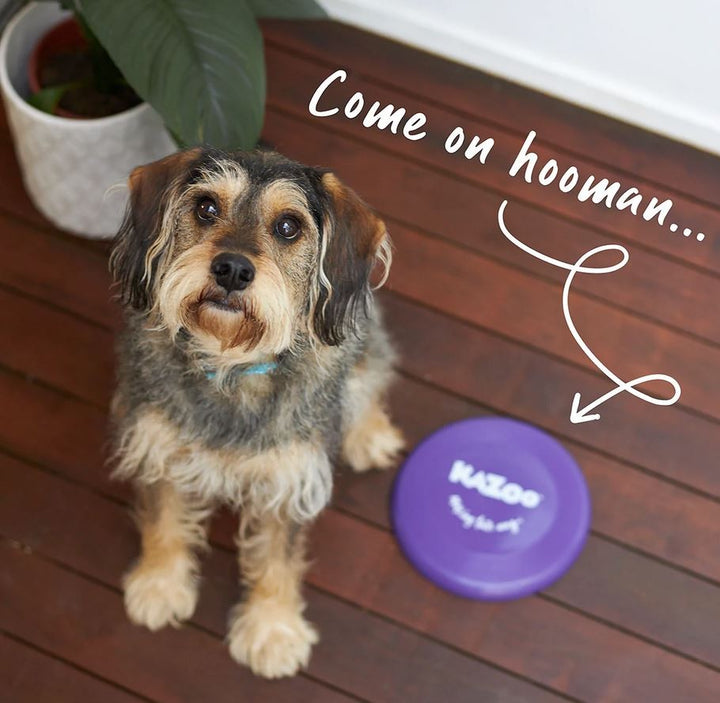 Kazoo Dog Toy Frisbee