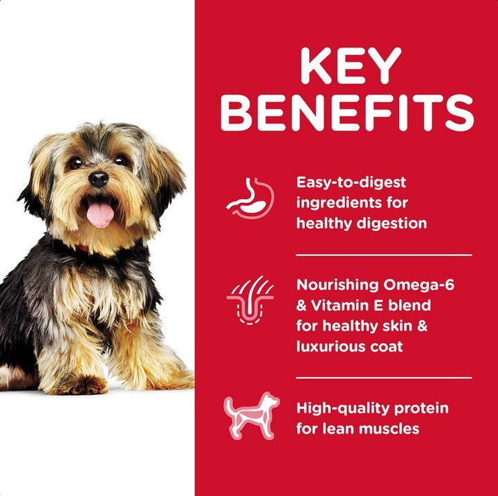 Hills Dog Adult Chicken Small Paws 7.1kg