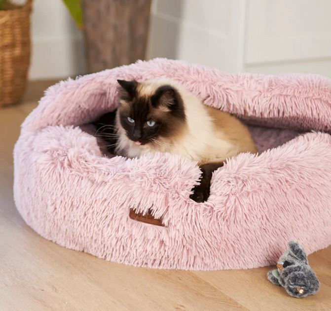 Cat Toy Kazoo Koala Cuddles