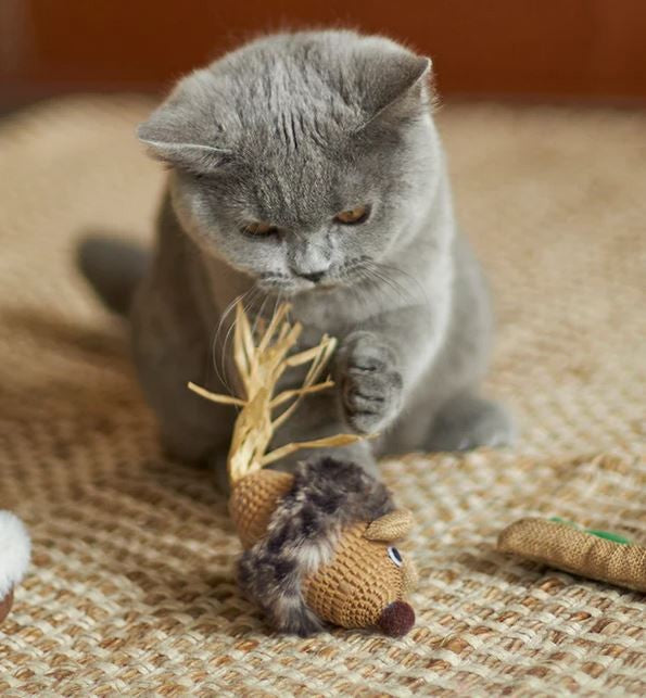 Cat Toy Kazoo Sneaky Mouse
