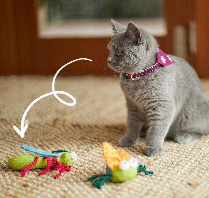 Cat Toy Kazoo Crinkle Bug