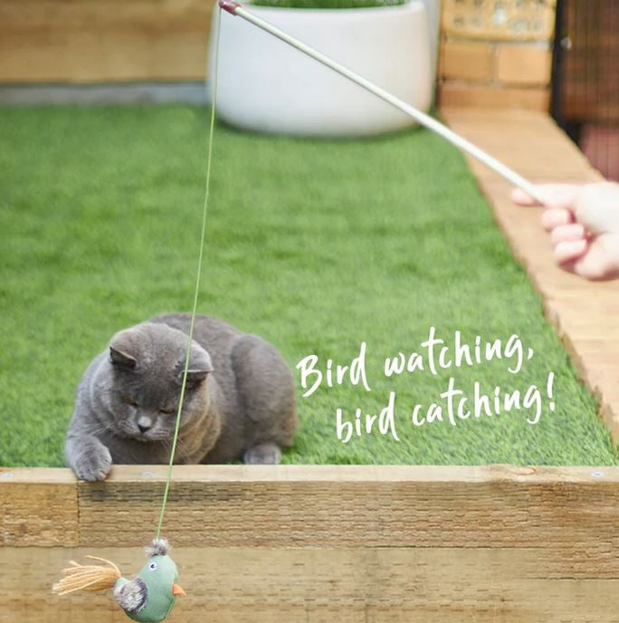 Cat Toy Kazoo Fantail Bird Wand