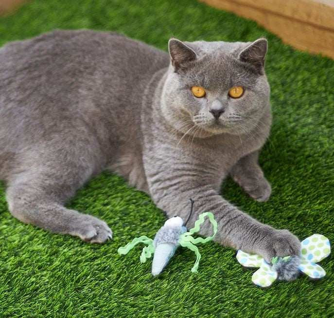Cat Toy Kazoo Flutterby