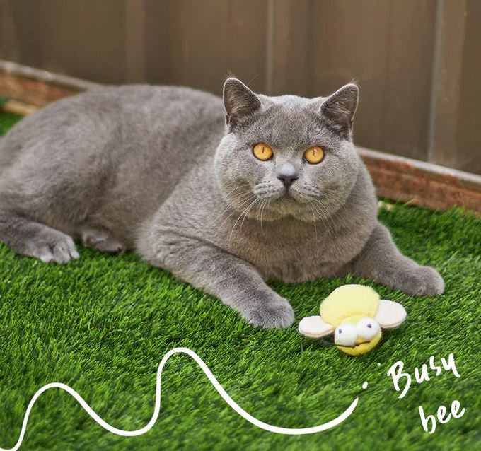 Cat Toy Kazoo Noisy Busy Bee