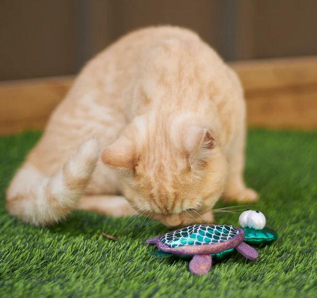Cat Toy Kazoo Sea Turtle
