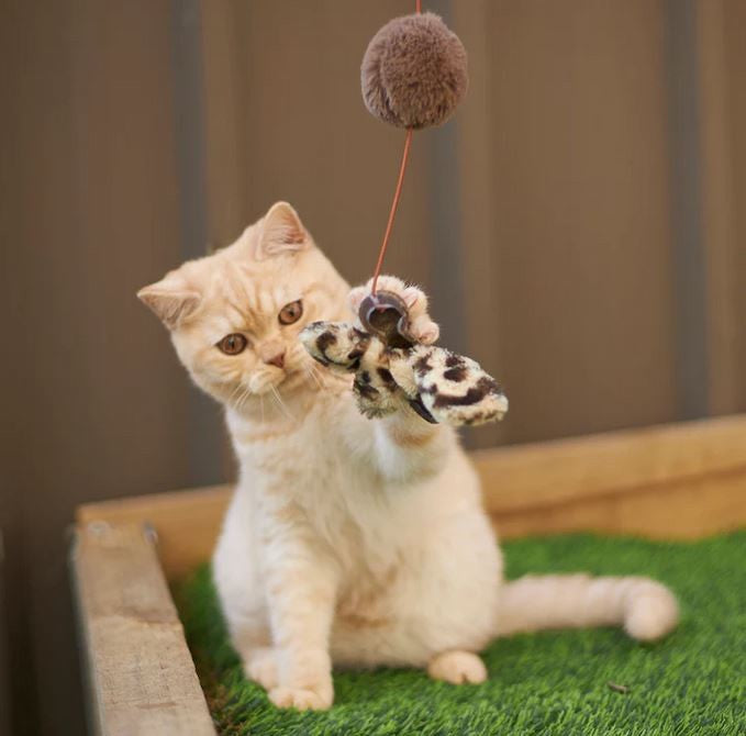 Cat Toy Kazoo Catnip Butterfly Wand