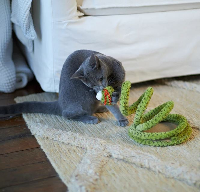 Cat Toy Kazoo Springy Snake