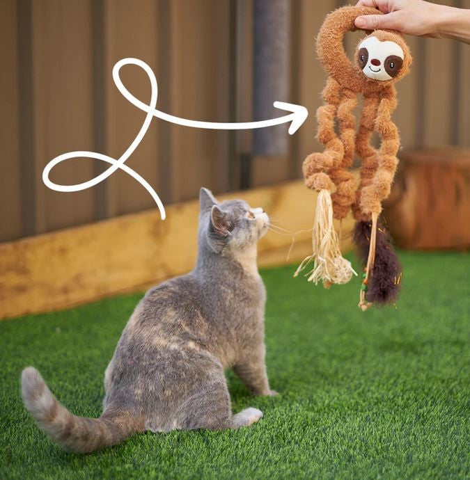 Cat Toy Kazoo Long Legged Sloth