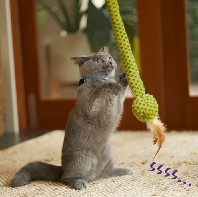 Cat Toy Kazoo Spotty Snake Wand