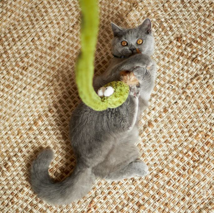 Cat Toy Kazoo Spotty Snake Wand