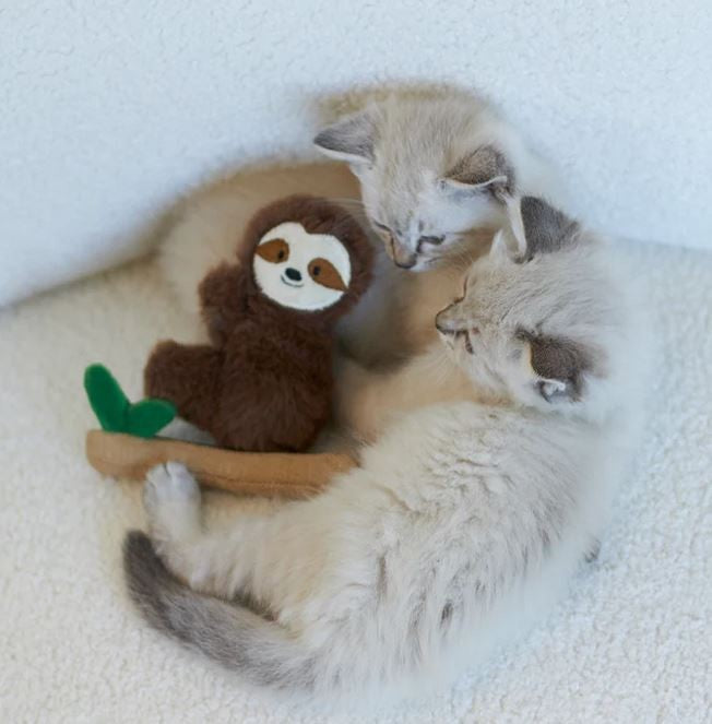 Cat Toy Kazoo Jungle Sloth