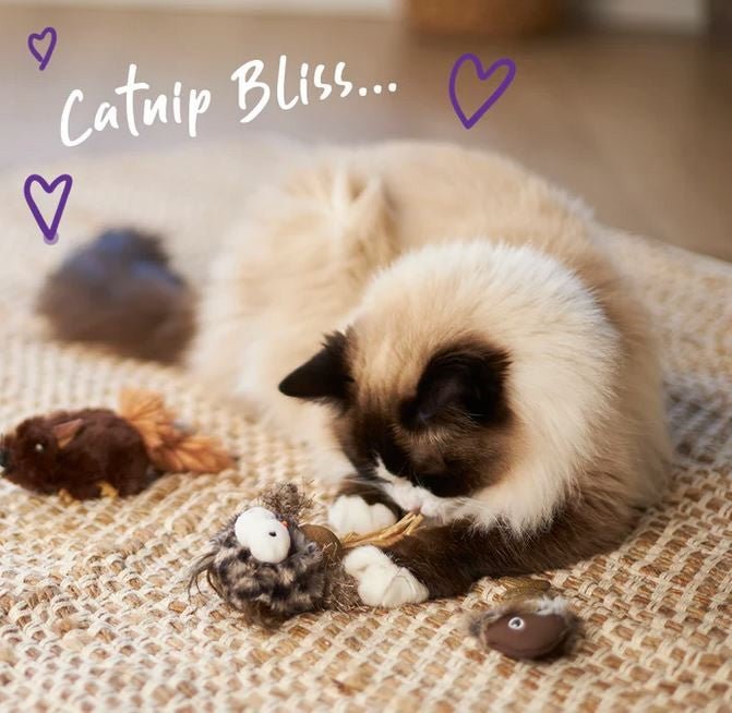 Cat Toy Kazoo Hooty Owl