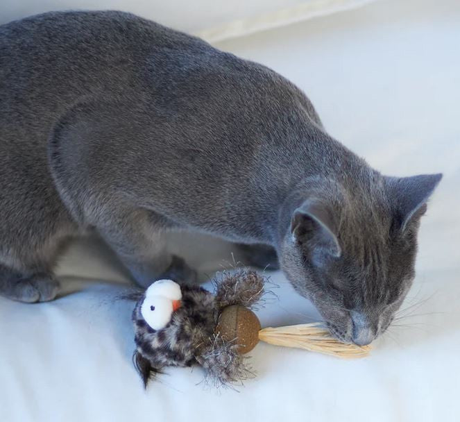 Cat Toy Kazoo Hooty Owl