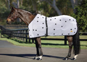 Magnetic Therapy Rug [:5'9"]