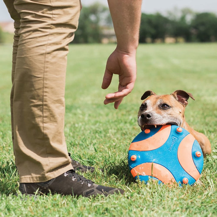 Chuckit Dog Toy Whistle Flight 28cm