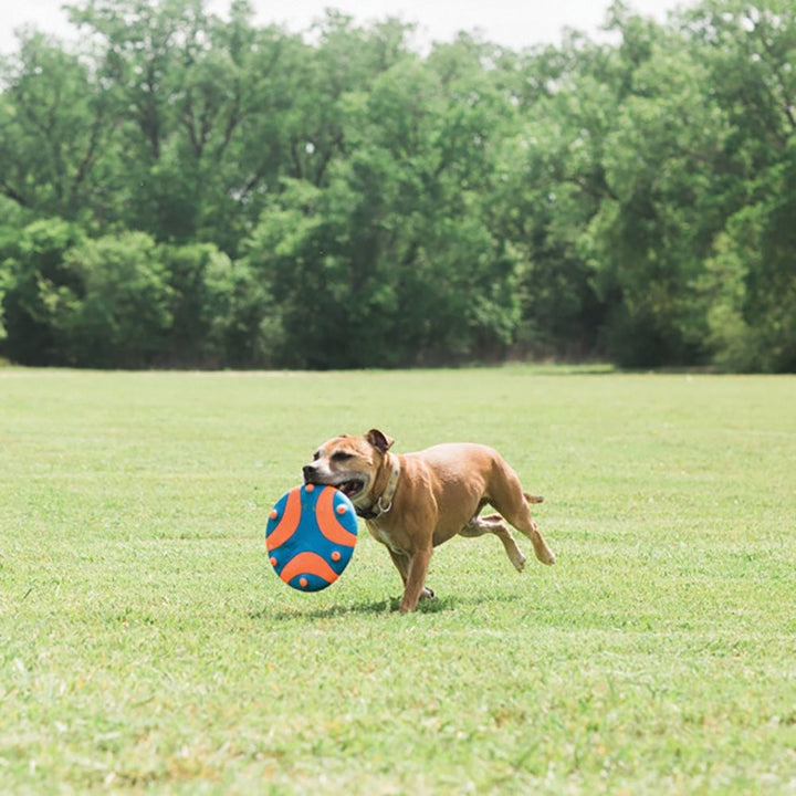 Chuckit Dog Toy Whistle Flight 28cm