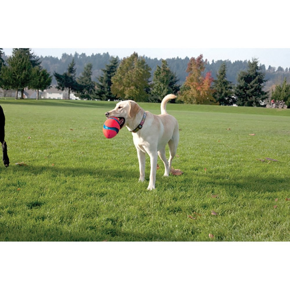 Chuckit Dog Toy Fumble Fetch Small 22cm X 12.5cm