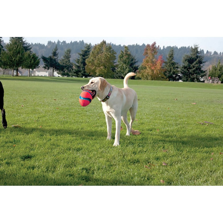 Chuckit Dog Toy Fumble Fetch Small 22cm X 12.5cm