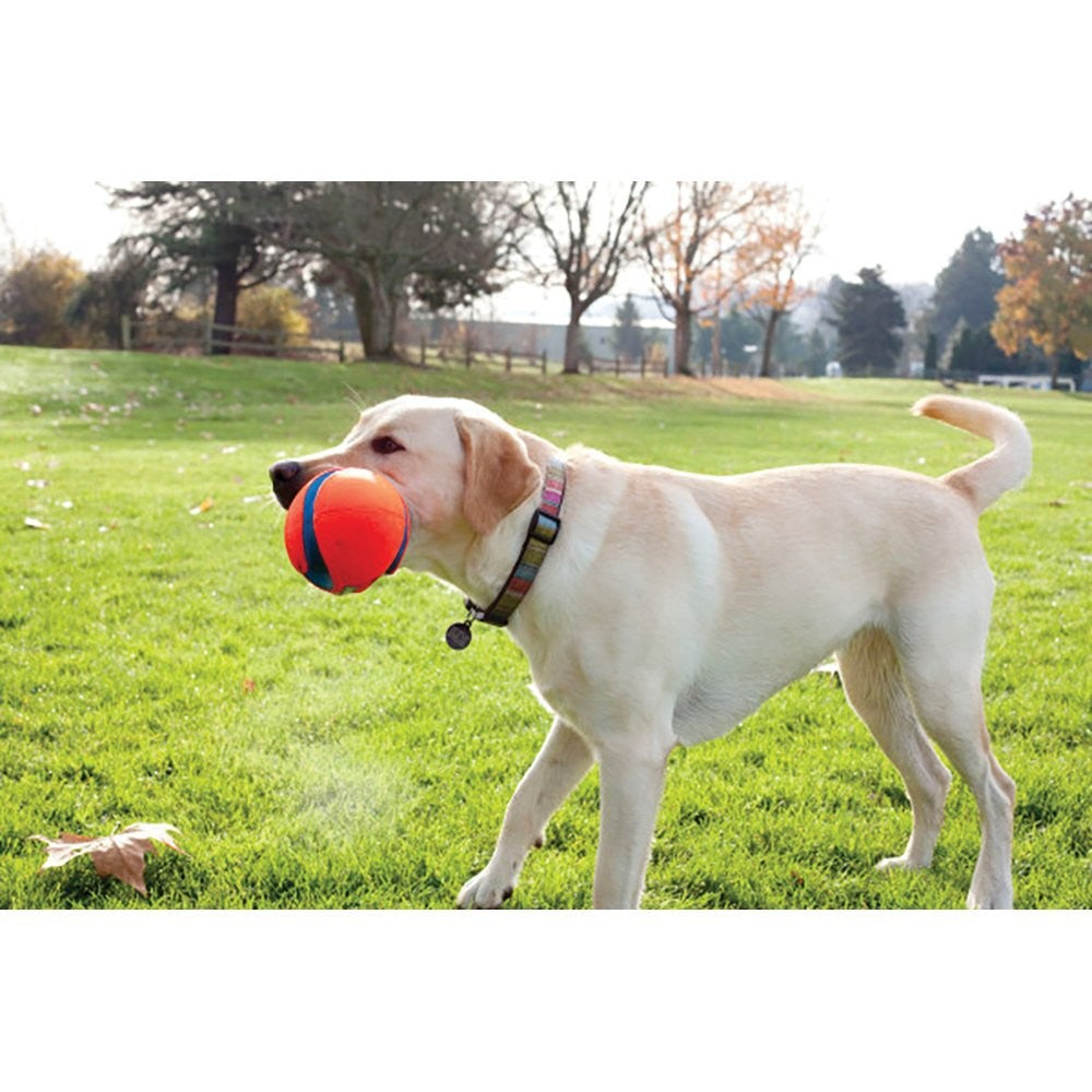Chuckit Dog Toy Fumble Fetch Small 22cm X 12.5cm