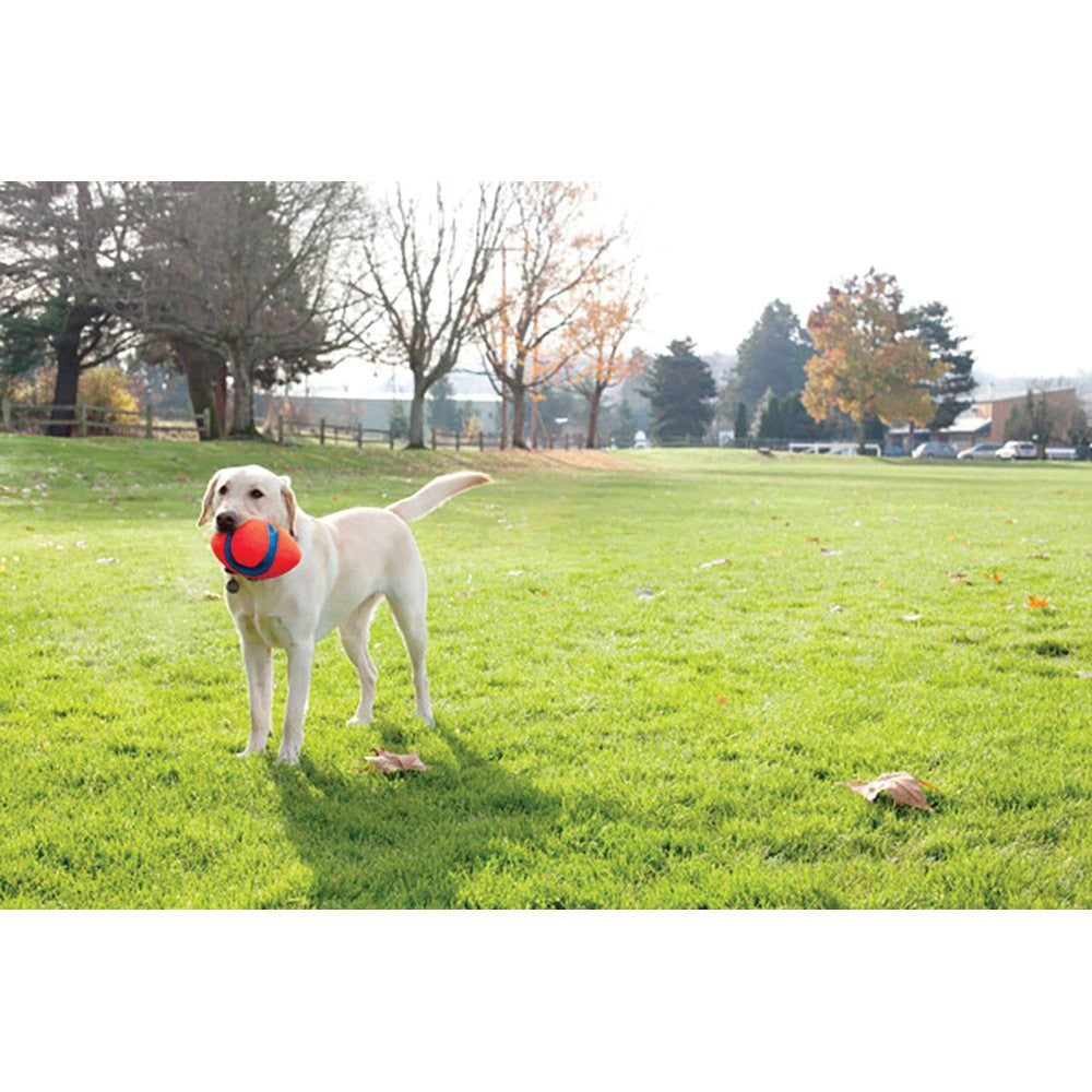 Chuckit Dog Toy Fumble Fetch Small 22cm X 12.5cm