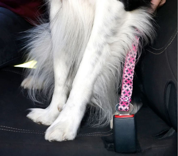 Car Seat Belt Restraint Doog Scooby