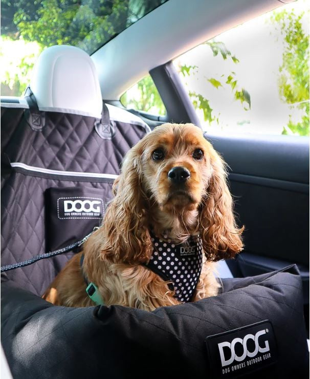 Car Seat Doog Black