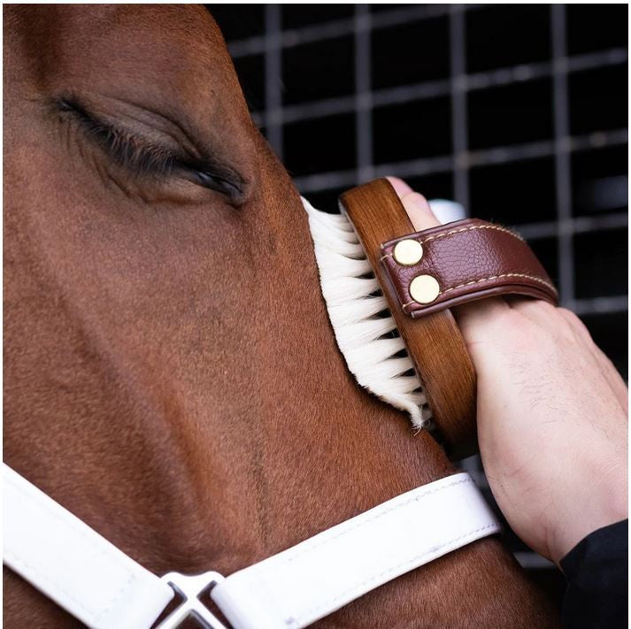 Hairy Pony Brush Face 