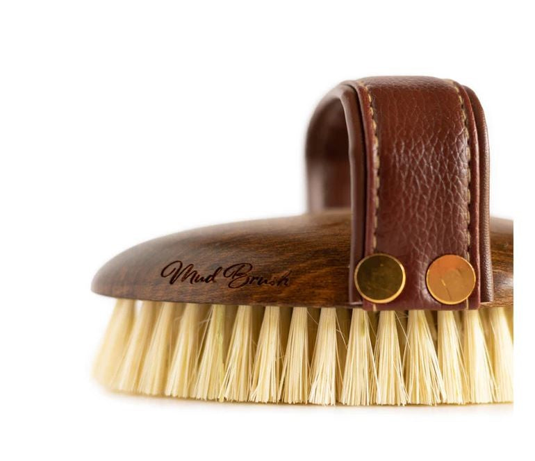 Hairy Pony Brush Mud 
