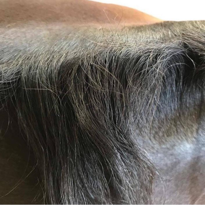 Hairy Pony Taming Wax