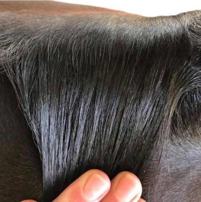 Hairy Pony Taming Wax