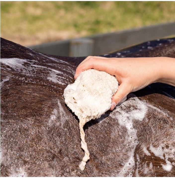 Hairy Pony Shampoo Bar Original [:tea Tree & Lemon Myrtle]