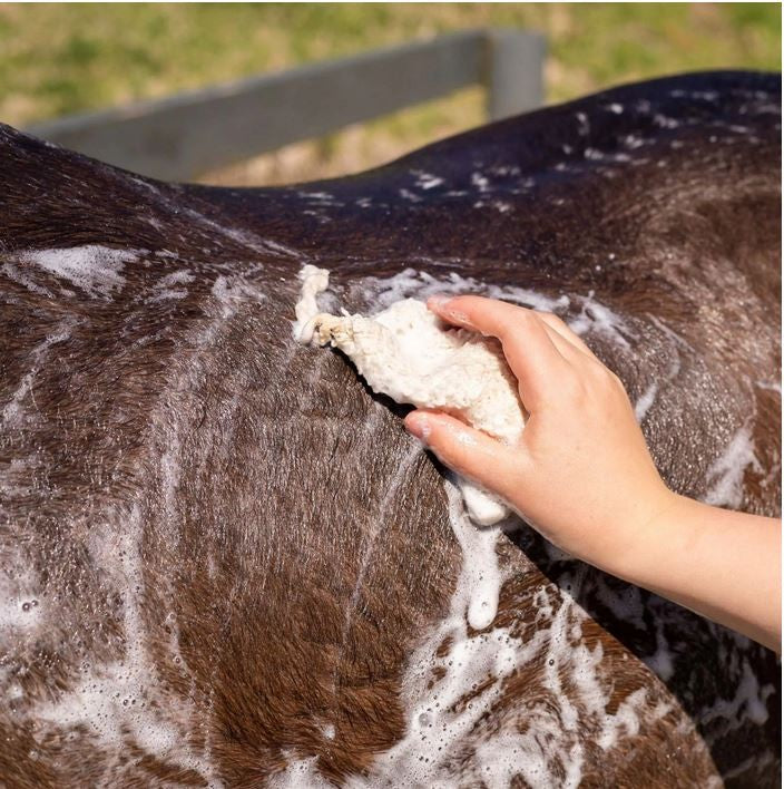 Hairy Pony Shampoo Bar Original [:tea Tree & Lemon Myrtle]