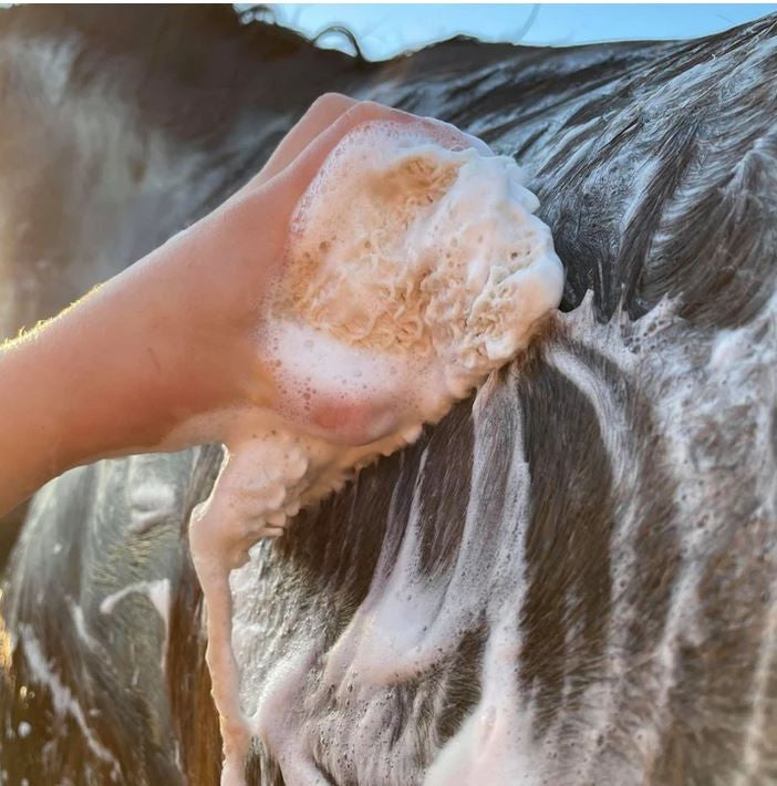 Hairy Pony Shampoo Bar Original [:tea Tree & Lemon Myrtle]