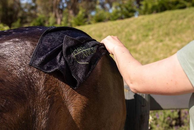Hairy Pony Microfibre Towelette