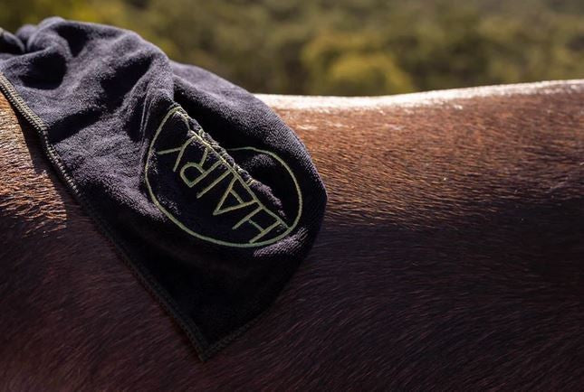 Hairy Pony Microfibre Towelette