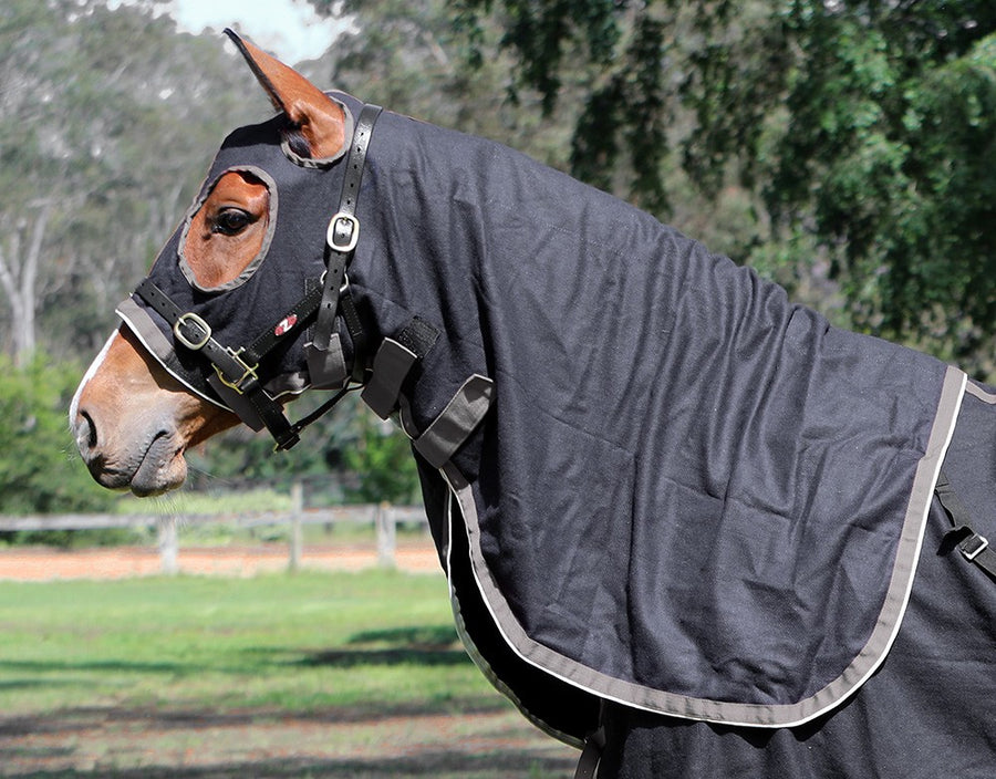 Wool Stadium Hood Zilco Black [:small]
