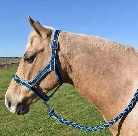 Headstall Webbing Eurohunter Comfort & Lead Navy & Aqua [:pony]
