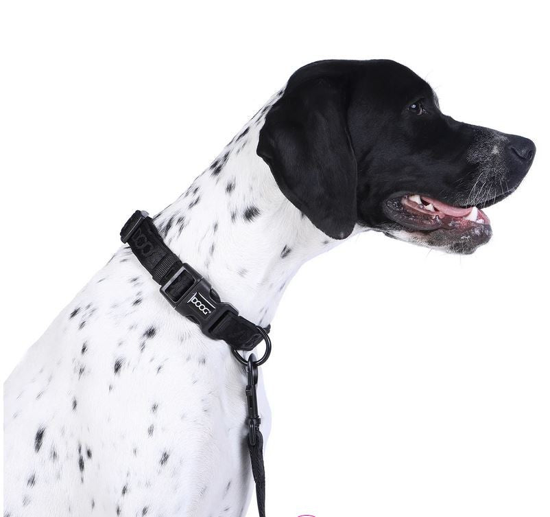 Doog Dog Collar Neosport Neoprene Black [:extra Small]